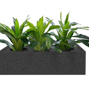 Black-Planter-1_ce019e11-eb7a-4129-b51e-7a320deed720-2.jpg