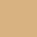 Dark_Beige_2dd5c6b6-9cc9-4bf8-8a32-69ece1594a16.png