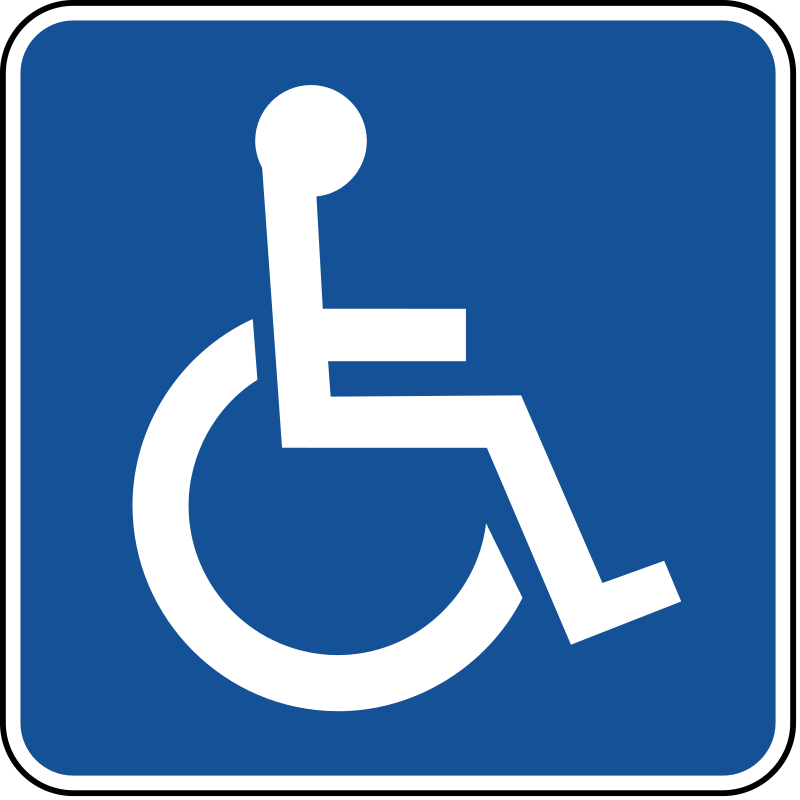 Disability_305a7157-0498-4ce4-89af-3e34c3e525d0.png