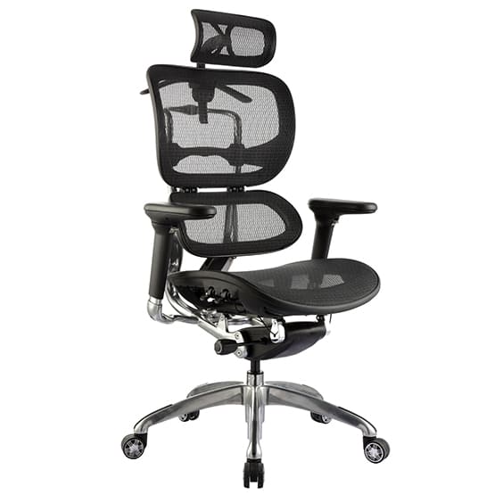 ERGO-1H.jpg