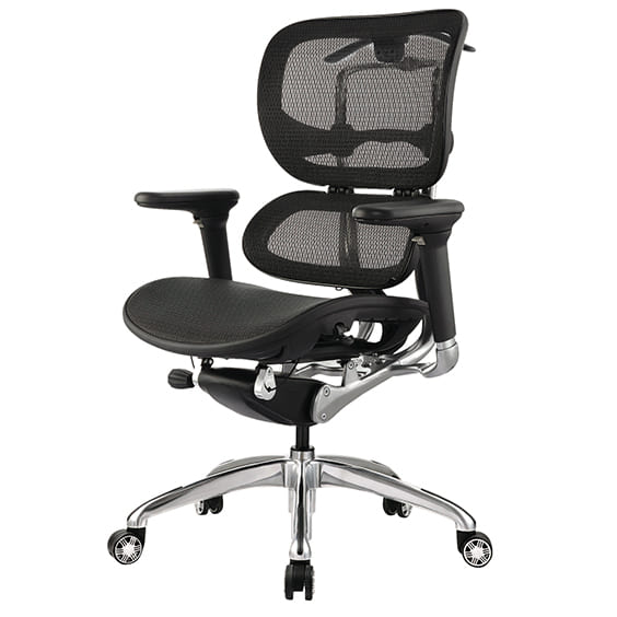 ERGO-1L-right-side.jpg