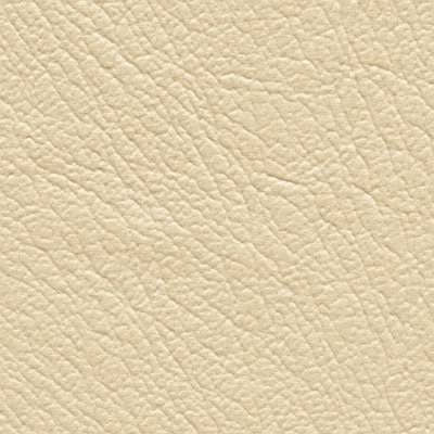 Matic_Vinyl_Coconut-8.jpg
