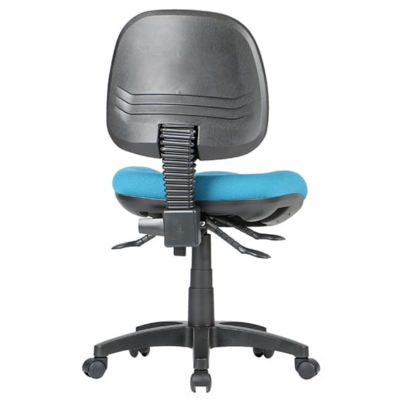 P350_back-view.jpg