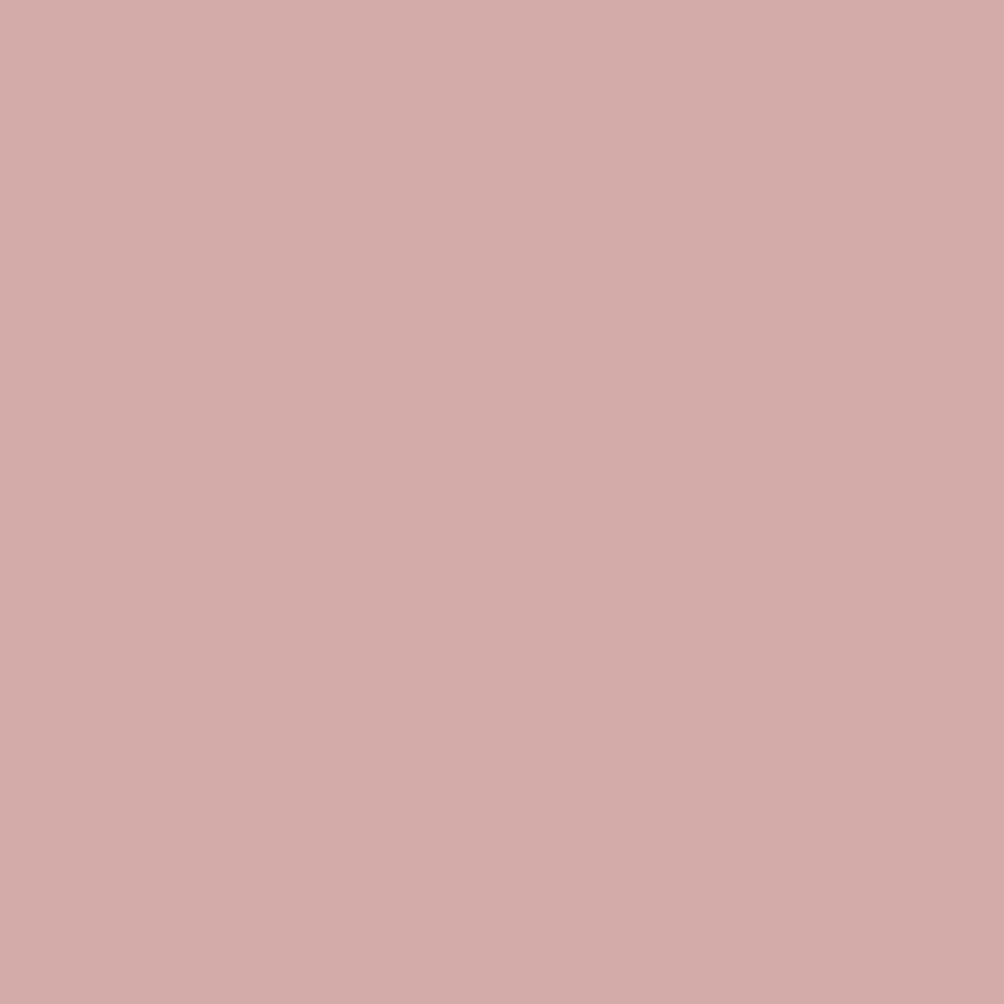Salmon-4.png