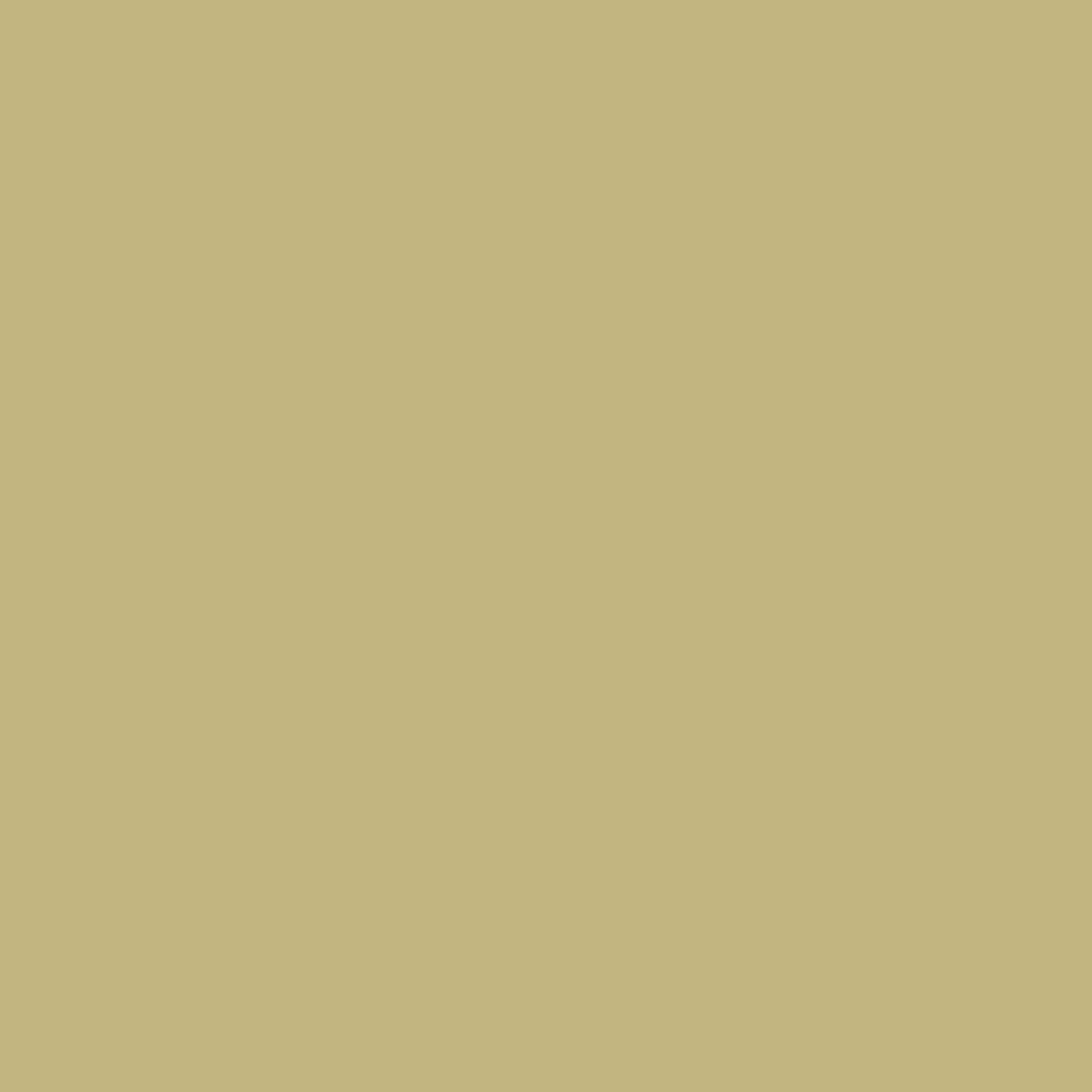 Splice_Sandcastle-1.png